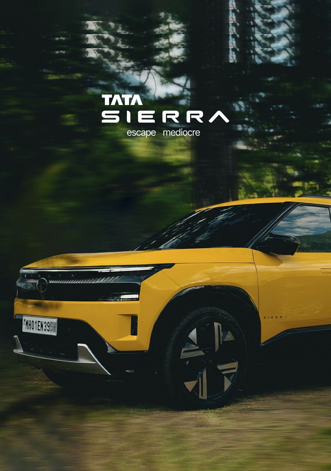 Tata Sierra Banner